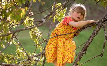 Waldspielplatz - SpielundLern-Blog