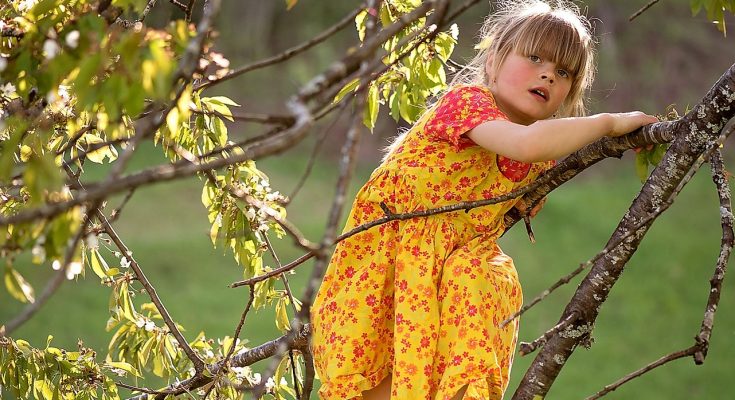 Waldspielplatz - SpielundLern-Blog