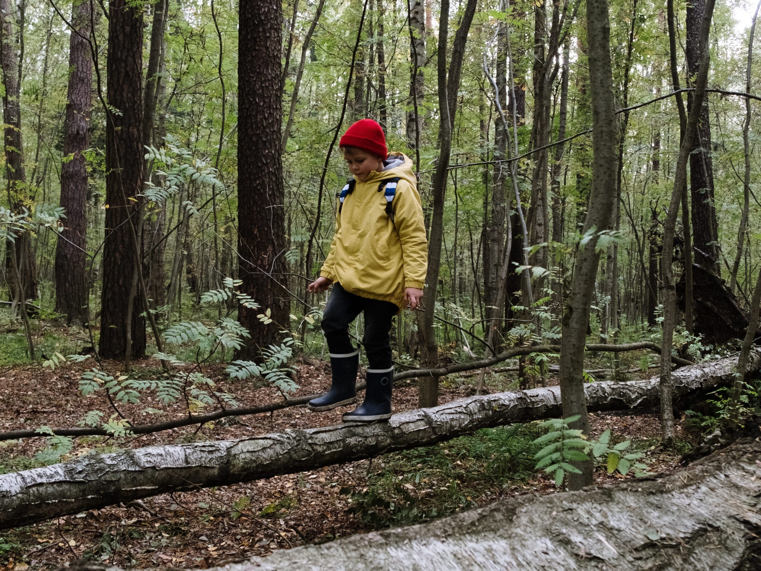 Waldspielplatz - SpielundLern-Blog