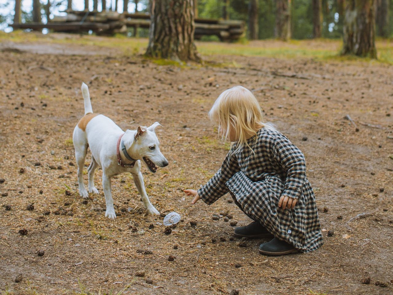 Tiere in der Schule - Spielundlern.de-Blog