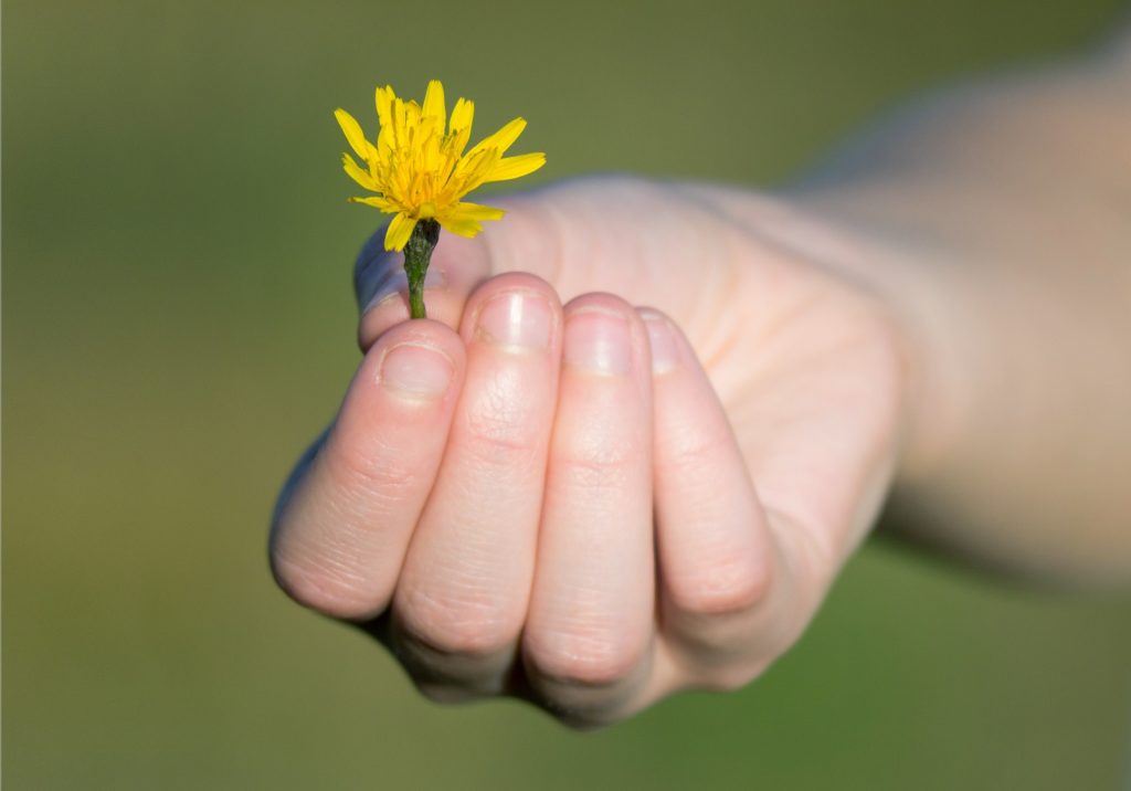 Achtsamkeit für Kinder - SpielundLern-Blog