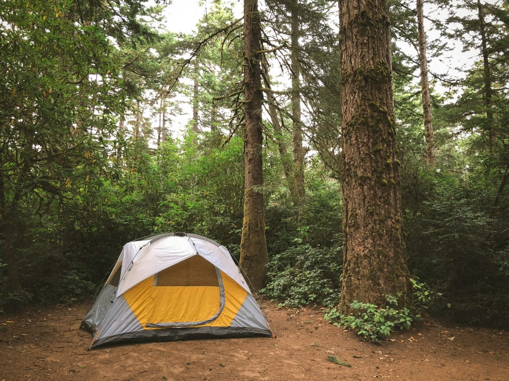 Zelt im Wald - Bushcrafting mit Kindern und Jugendlichen - Spielundlern.de