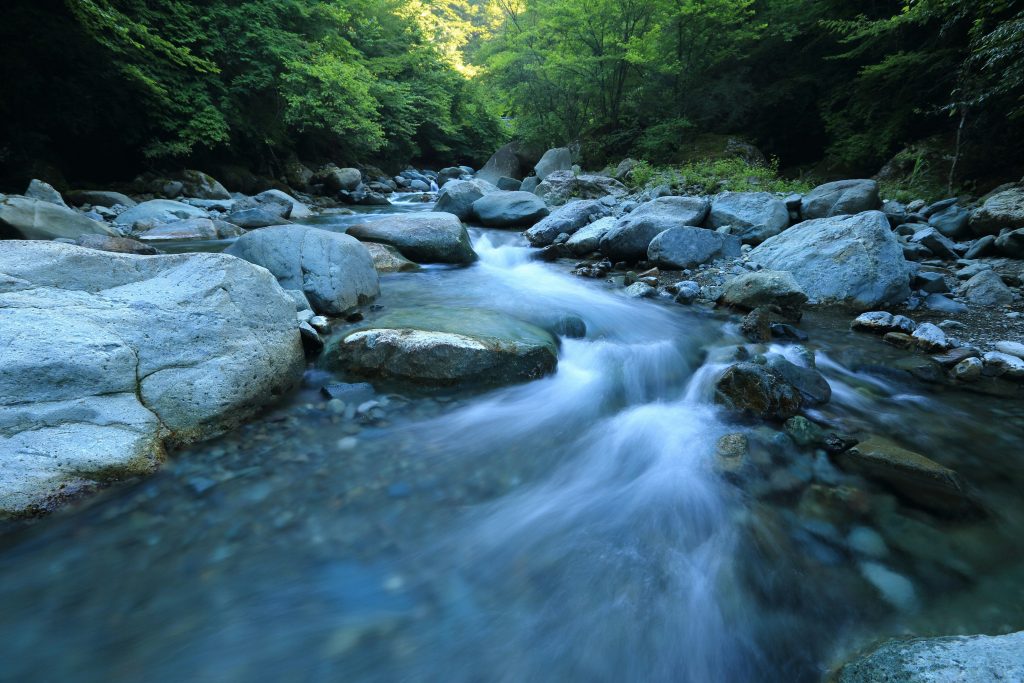 Fluss im Wald - Bushcrafting mit Kindern und Jugendlichen - Spielundlern.de