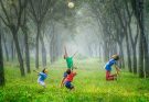 Kinder in der Natur springen einem Ball hinterher in die Luft.