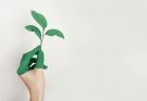 Eine grüne Hand hält ein grünes Blatt vor weißem Hintergrund.