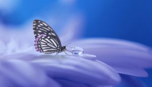 Imaginationsübungen für Kinder