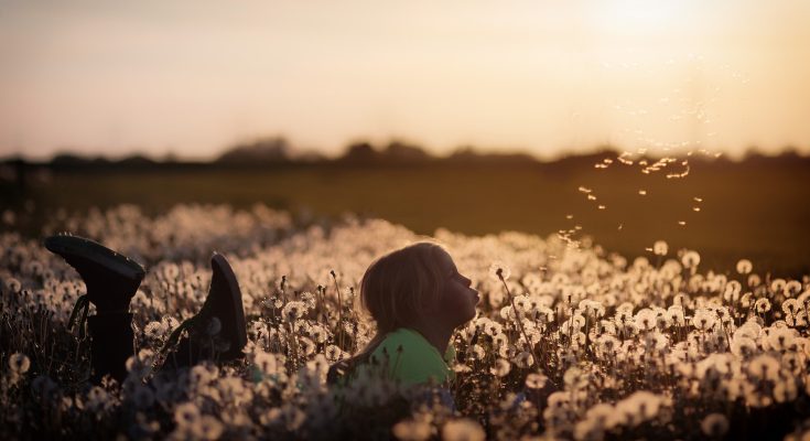 Mikroabenteuer mit Kindern.