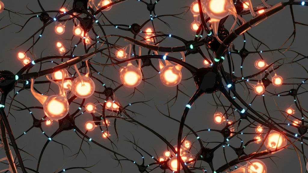 Neuroplastizität