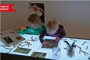 Zwei Kinder erkunden an einem beleuchteten Tisch mit Naturmaterialien, während sie zeichnen und ein Buch betrachten. Um sie herum liegen Federn, Zweige und Bilder von Vögeln, die die kreative Auseinandersetzung mit der Natur fördern.