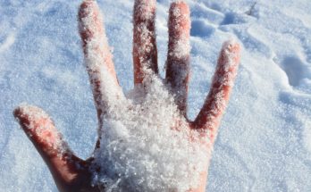 Eine Hand, die eine Menge frischen Schnees hält, vor einem Hintergrund aus glitzerndem, unberührtem Schnee. Ideal für Themen wie Winteraktivitäten, Schneeerlebnisse oder Naturfotografie.