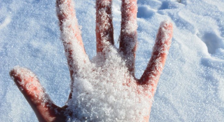 Eine Hand, die eine Menge frischen Schnees hält, vor einem Hintergrund aus glitzerndem, unberührtem Schnee. Ideal für Themen wie Winteraktivitäten, Schneeerlebnisse oder Naturfotografie.