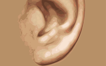 Detailreiche Darstellung eines menschlichen Ohrs auf einem neutralen Hintergrund, ideal für Themen rund um Anatomie oder Hörgesundheit.