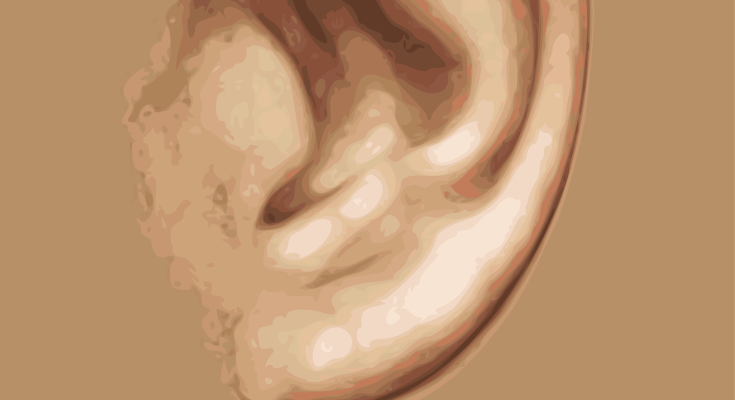 Detailreiche Darstellung eines menschlichen Ohrs auf einem neutralen Hintergrund, ideal für Themen rund um Anatomie oder Hörgesundheit.