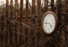 Erinnerungskultur im Unterricht: Wie Zeitzeugen authentische Wege der Geschichtsvermittlung bieten