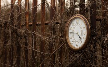 Eine analoge Uhr, die an einem rostigen Zaun hängt, umgeben von verwilderten Pflanzen. Die Uhr zeigt die Zeit an und ist ein Symbol für den Einfluss der Natur auf menschliche Gegenstände.