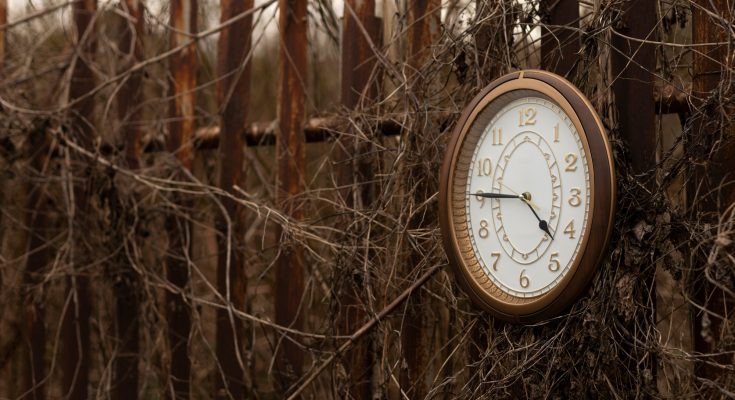 Eine analoge Uhr, die an einem rostigen Zaun hängt, umgeben von verwilderten Pflanzen. Die Uhr zeigt die Zeit an und ist ein Symbol für den Einfluss der Natur auf menschliche Gegenstände.